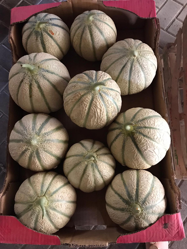 melons cageot.jpg